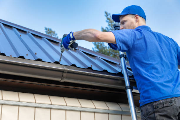 Best Solar Panel Roofing Installation  in St Johns, MI