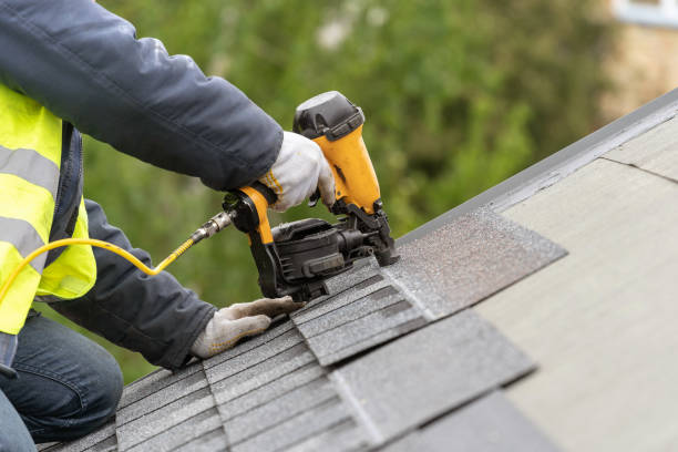 Best Chimney Flashing Repair  in St Johns, MI