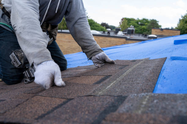 Best Metal Roofing Installation  in St Johns, MI