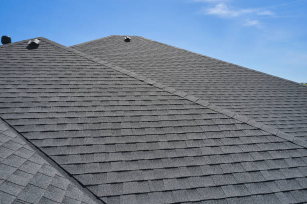 Best Skylight Installation and Repair  in St Johns, MI