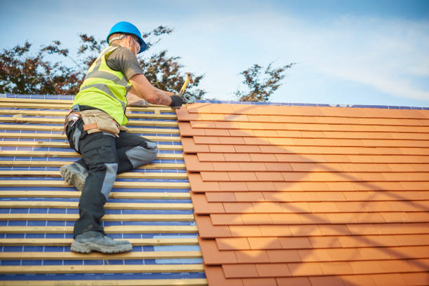 Best Roof Ventilation Installation  in St Johns, MI